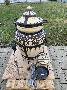 tandoor